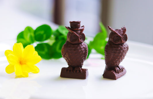 Owl Chocolate Delight