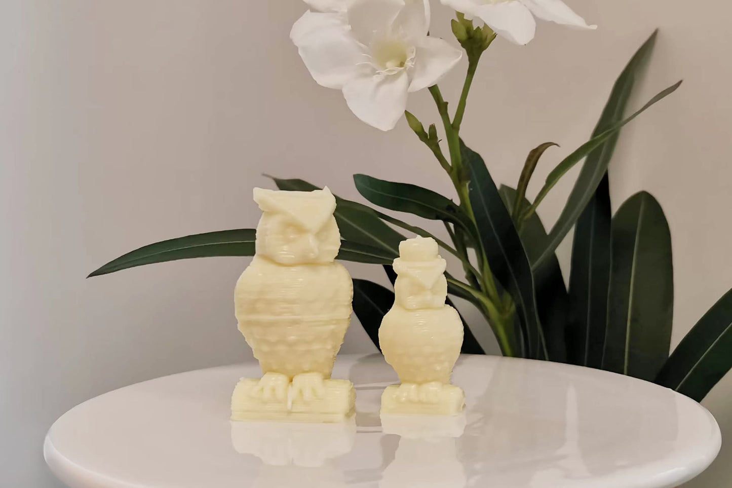 Elegant Owl White Chocolate